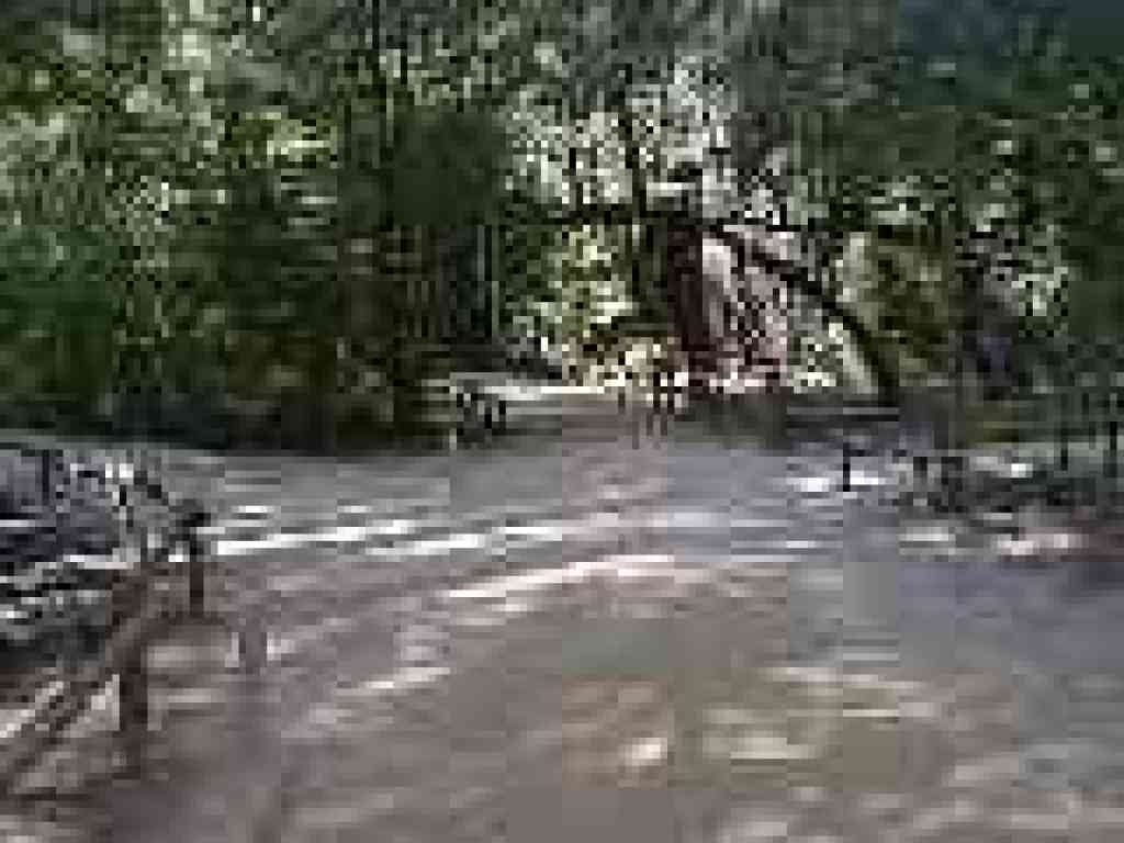 Redwood Trail