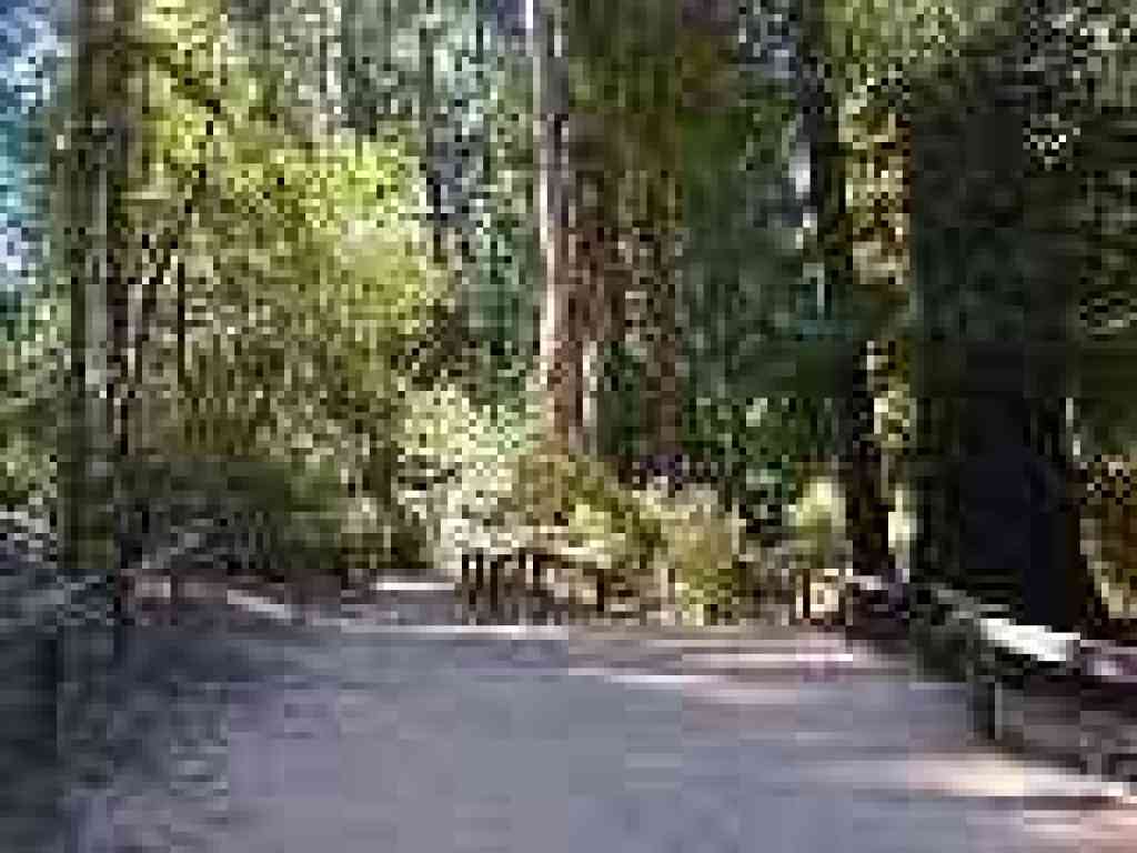 Junction