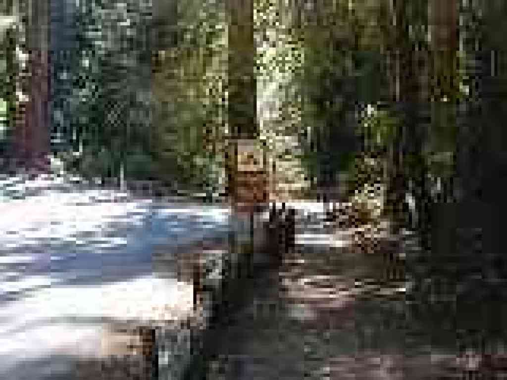 Junction