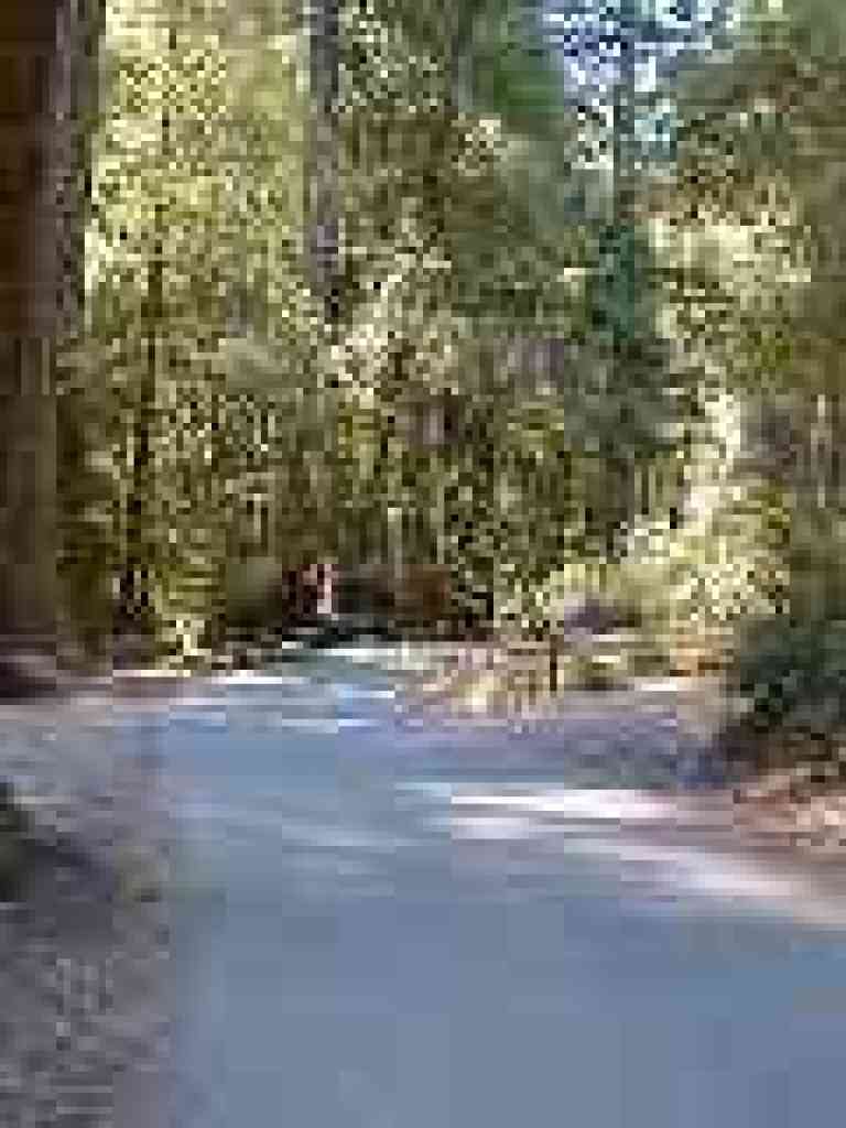 Campground road