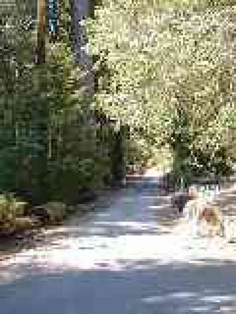 Approaching junction