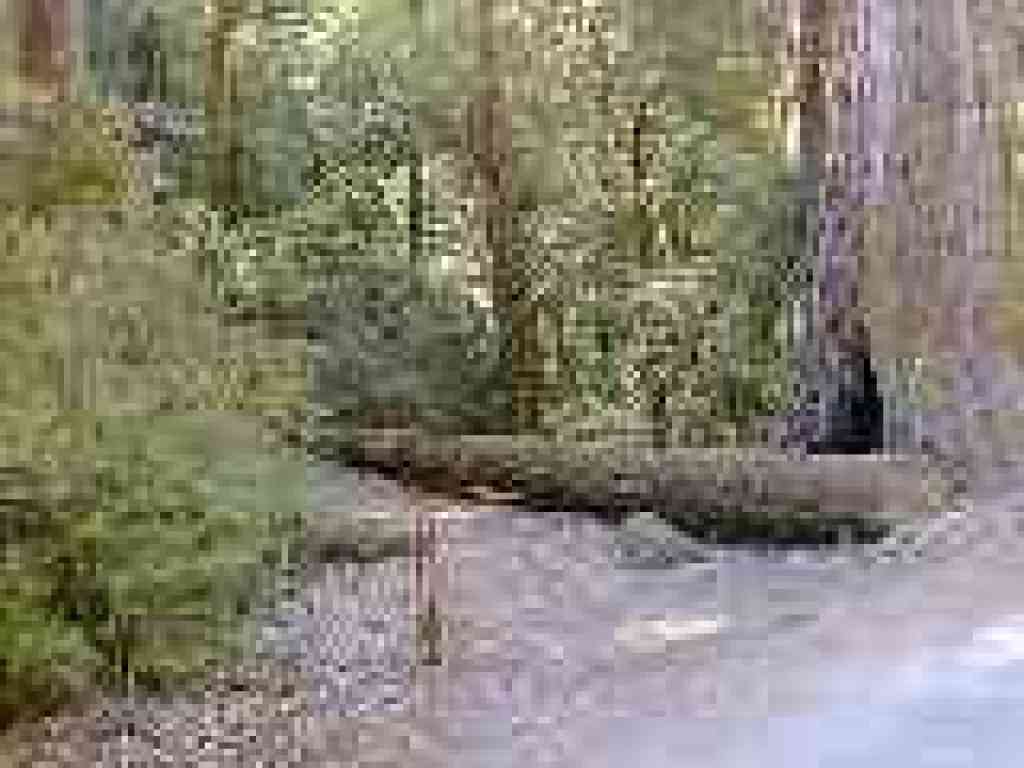 Junction