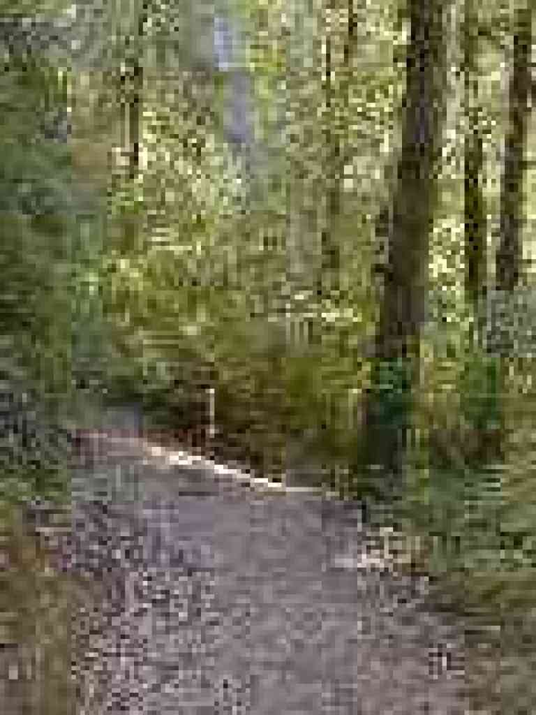 Junction