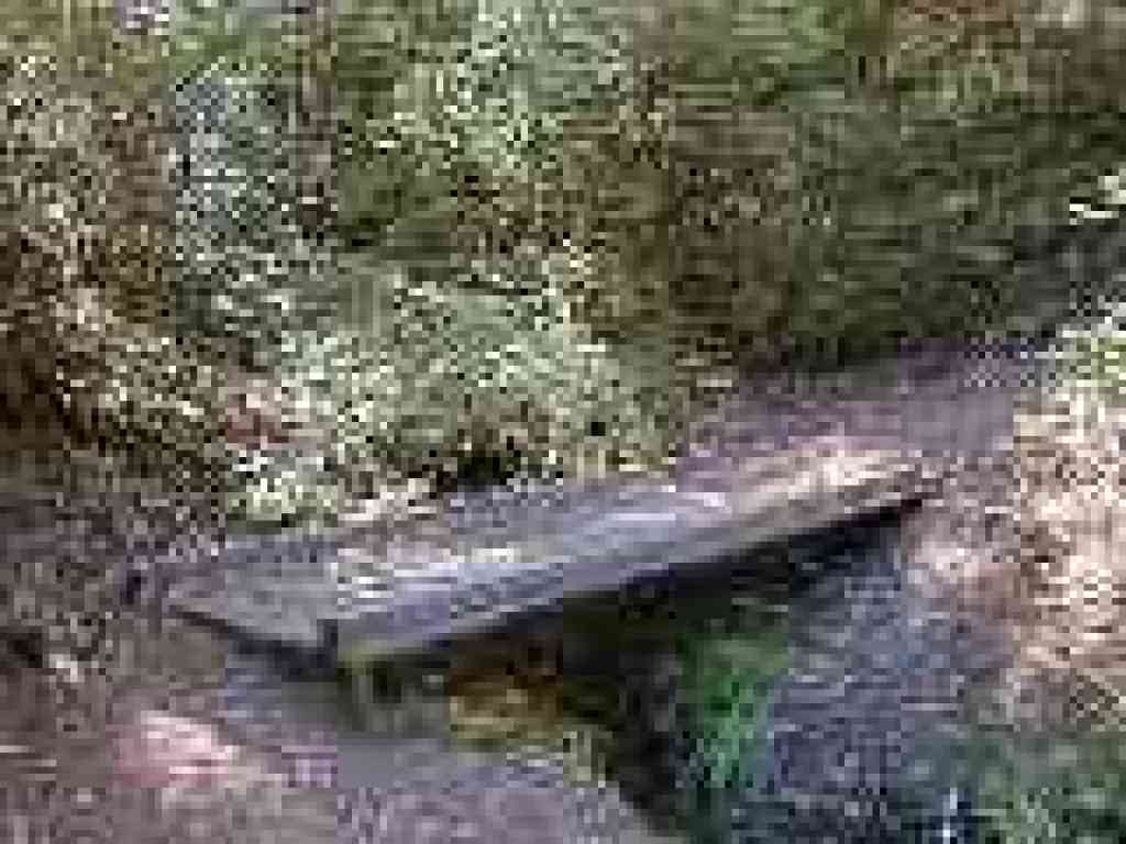 Bridge