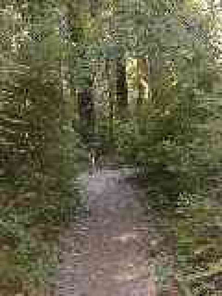 Junction