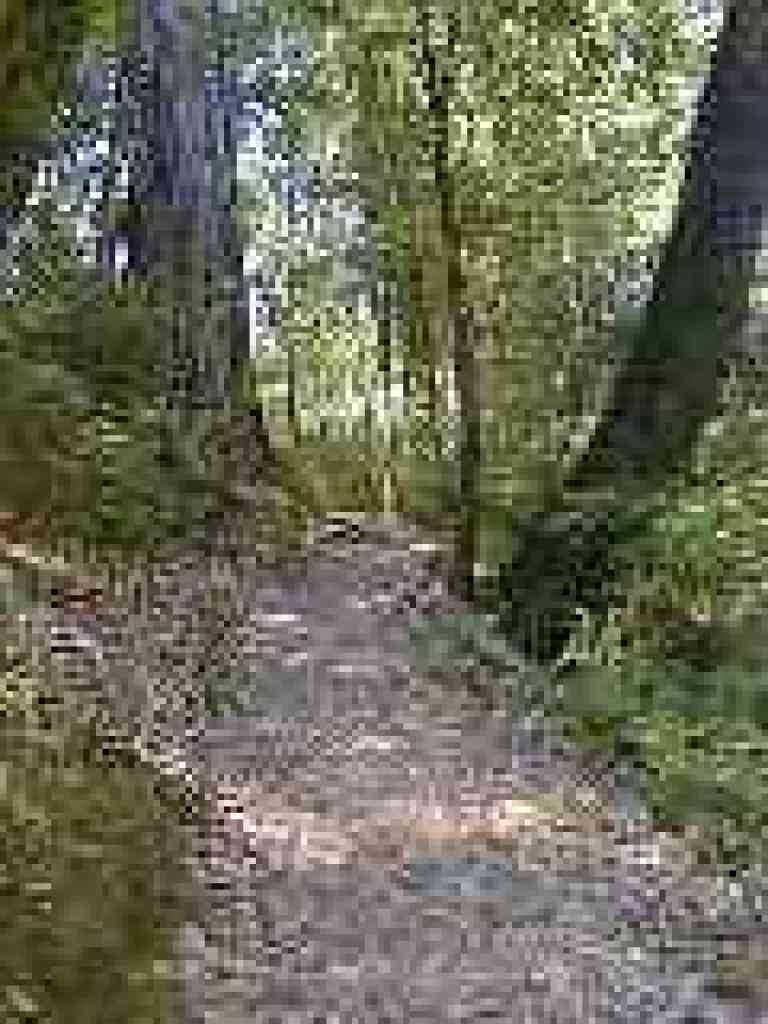 Climbing