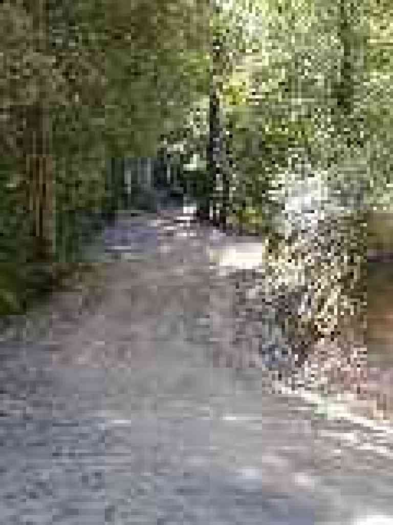 Pine Mountain Fire Road