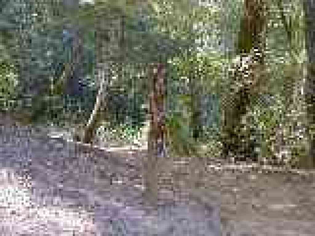 Junction