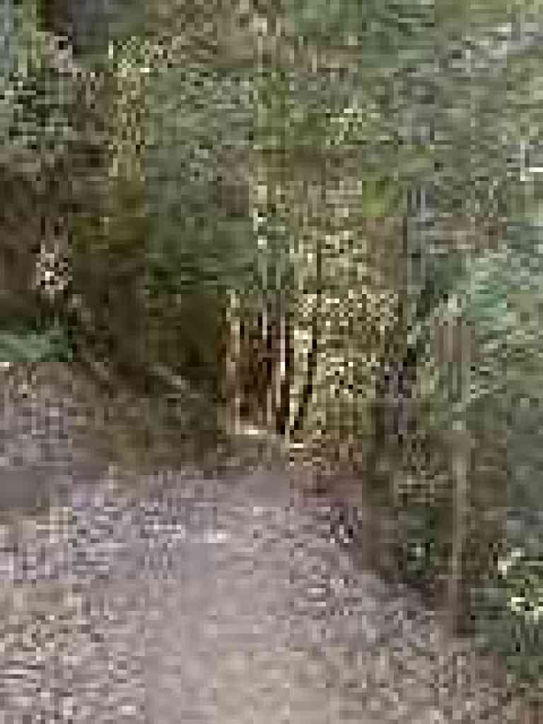Last downhill for a long time