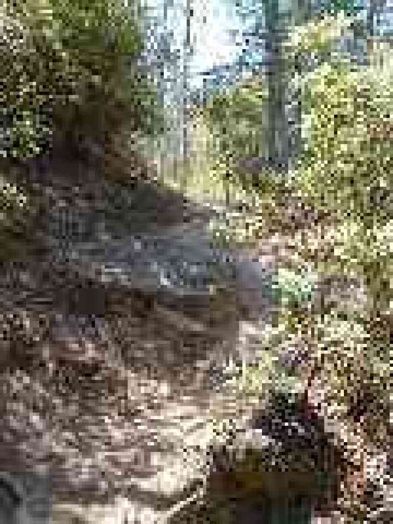 Trail gets rockier