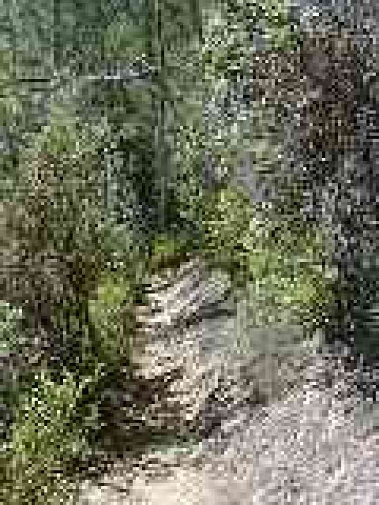 Crowded section
