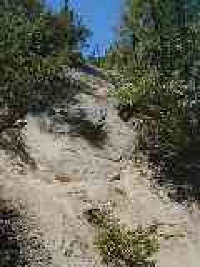 Path to viewpoint