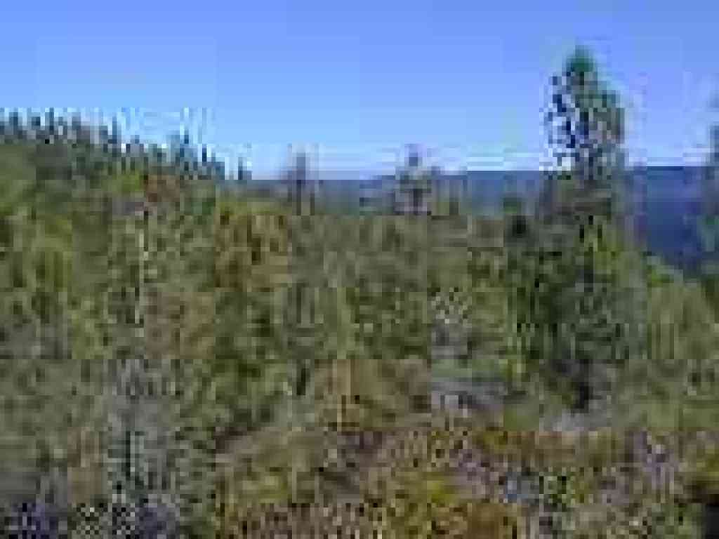 View north