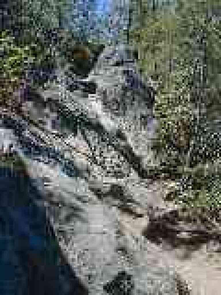 The notch