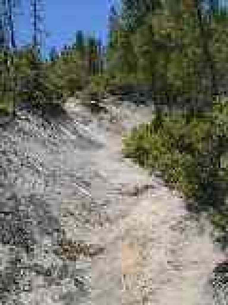 Looks like a luge course
