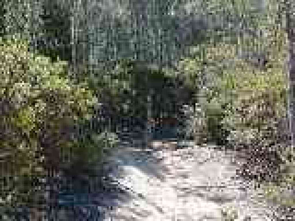 Junction; unmaintained trail heads right