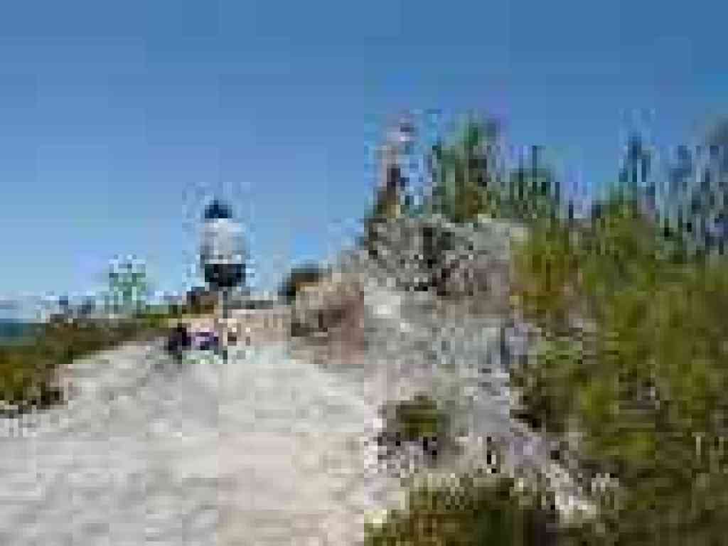 Hikers examining the rocks