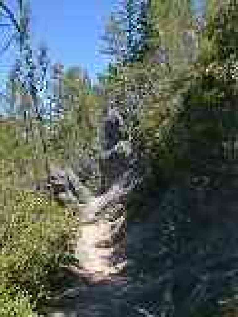 Back through the notch