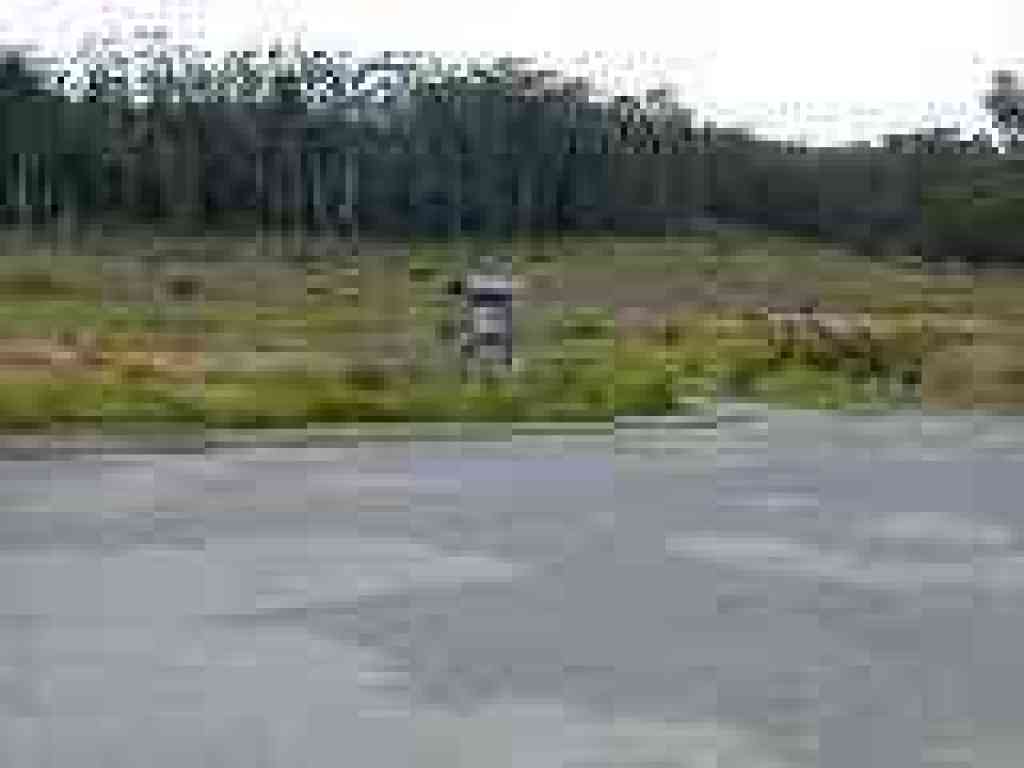 Trailhead