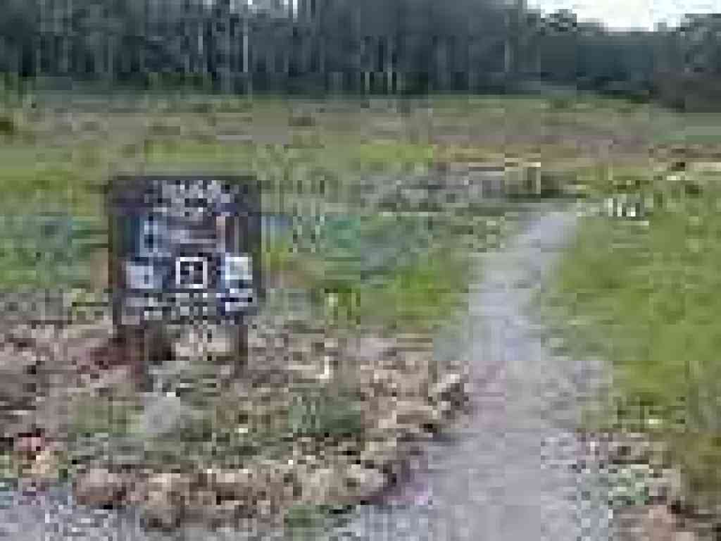 Trails begin at garden