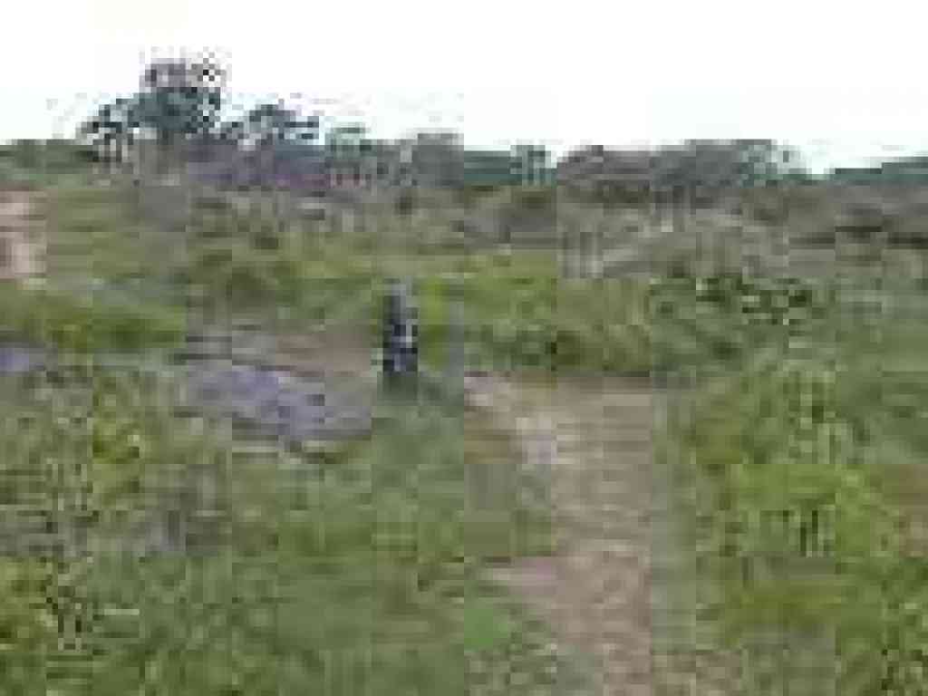 Junction