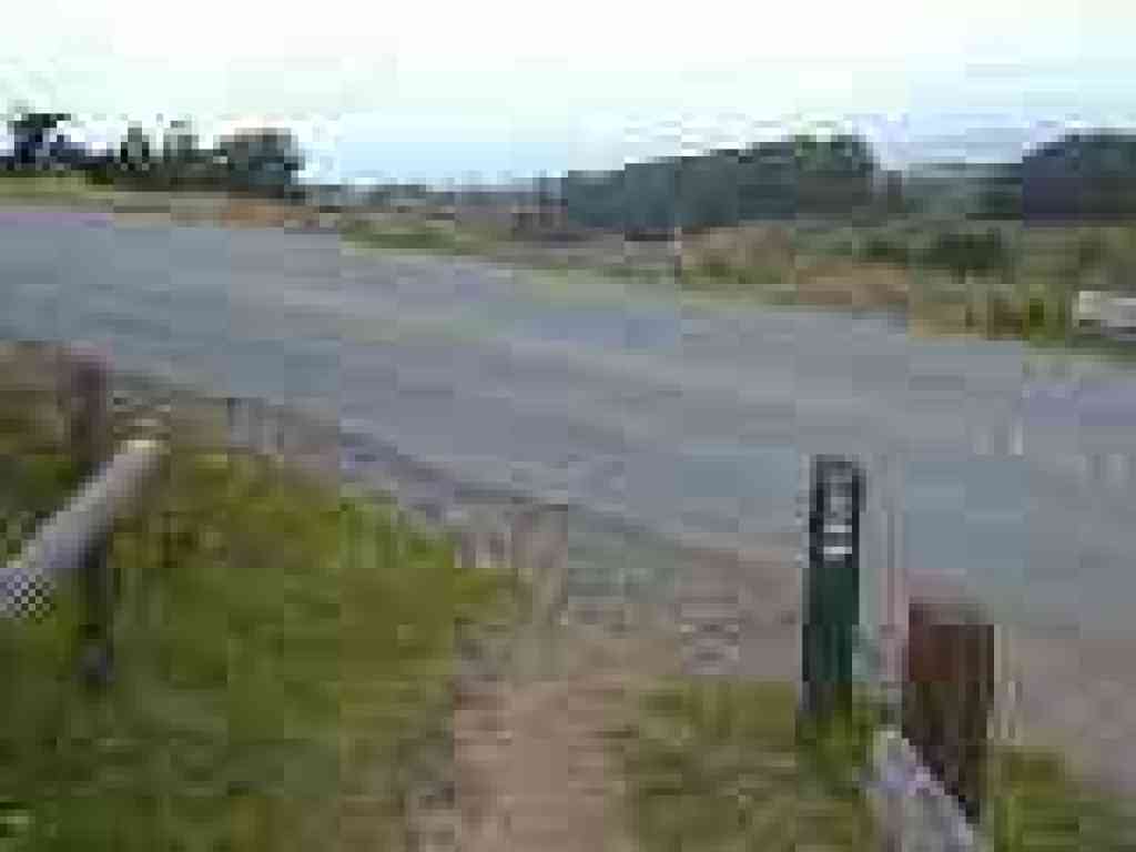 Crossing the road