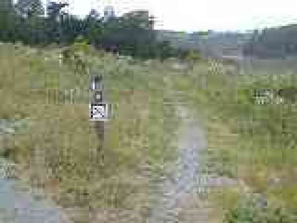 Summit Loop Trail