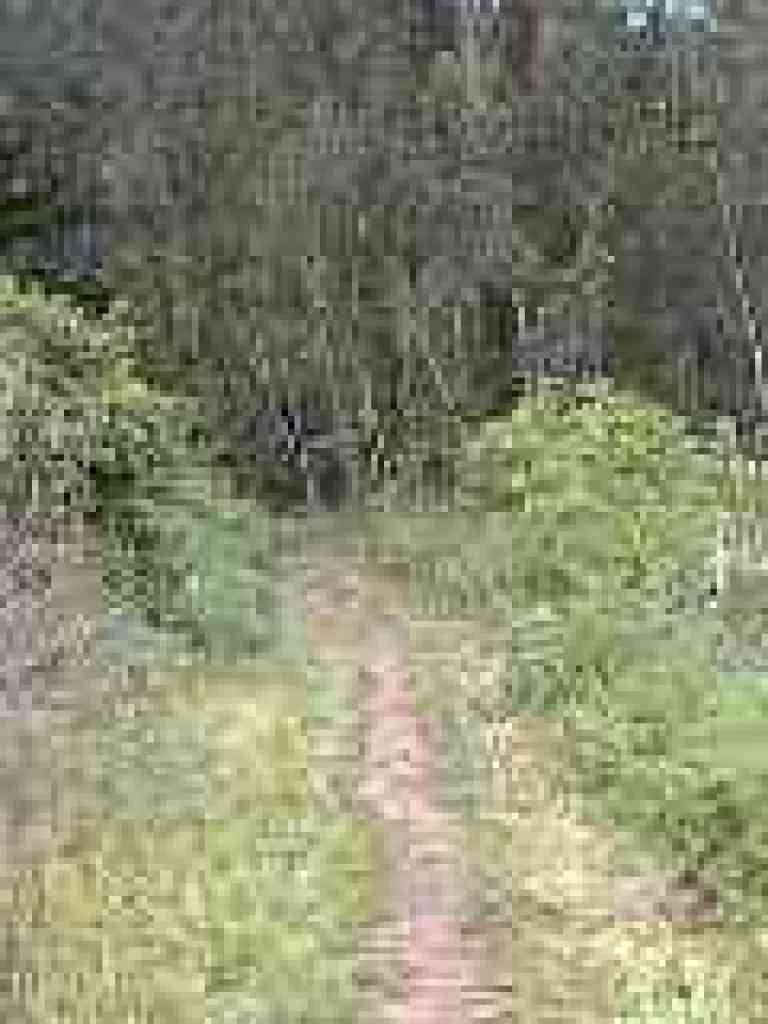 Nearing trees