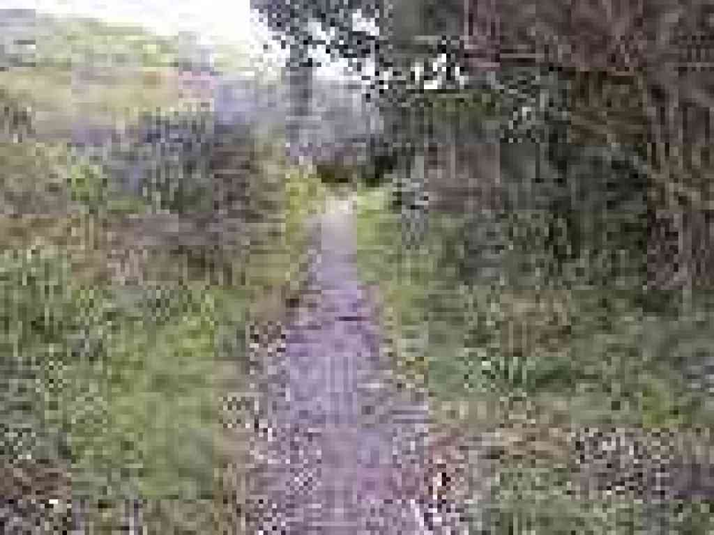 Edging along a creek
