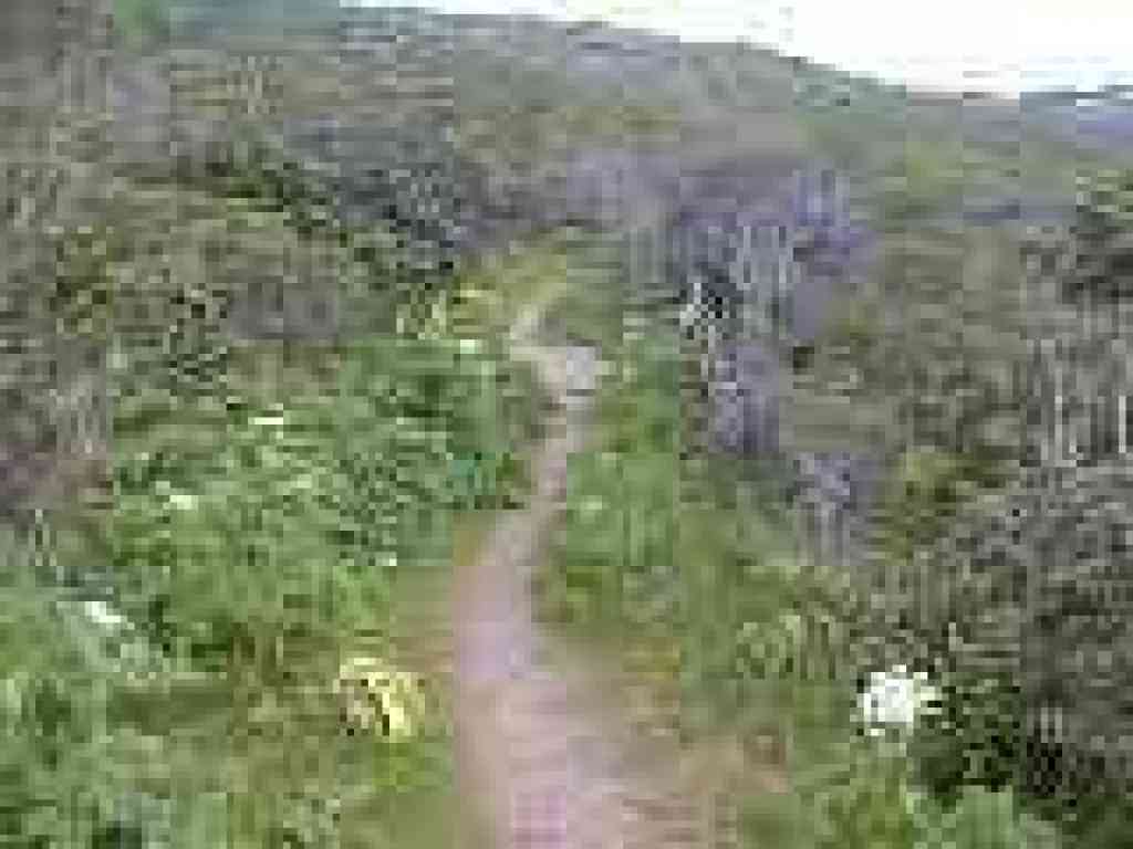 Crossing a tiny bridge