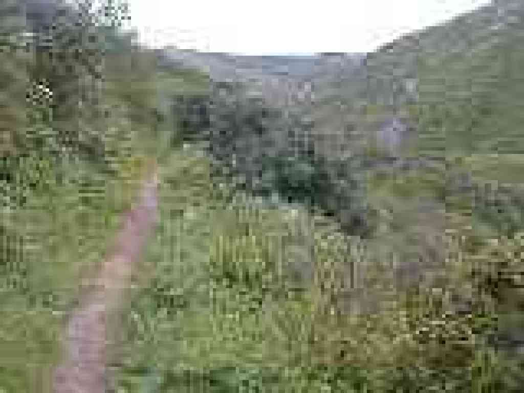 Trail turns south