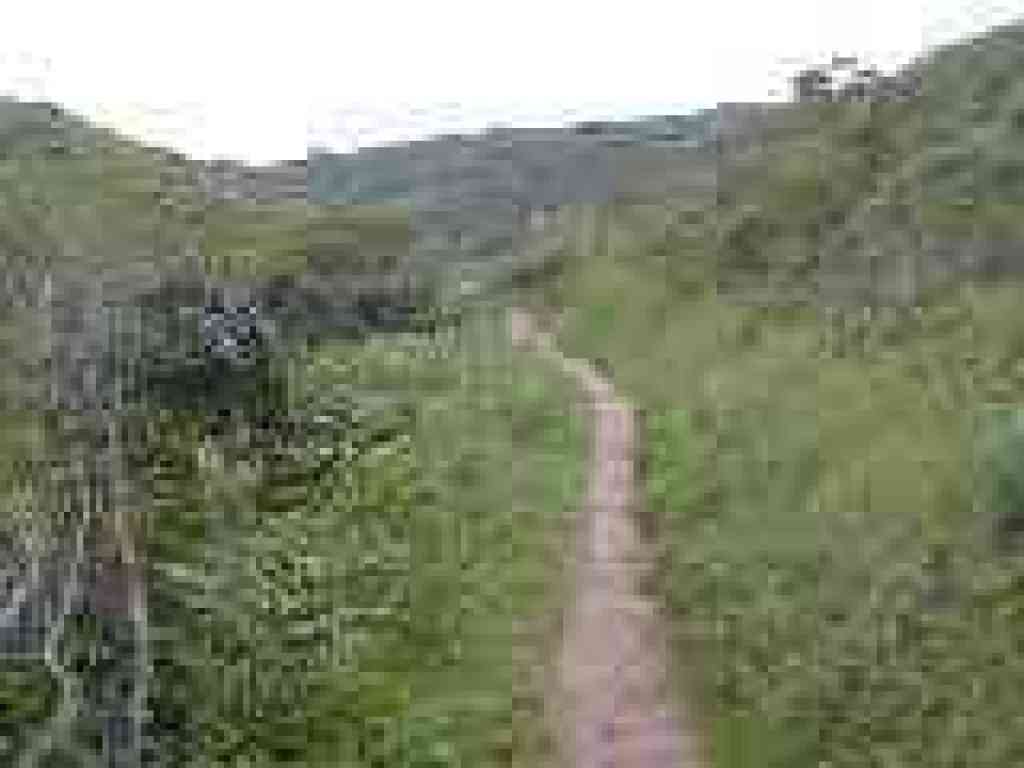 Start of the climb