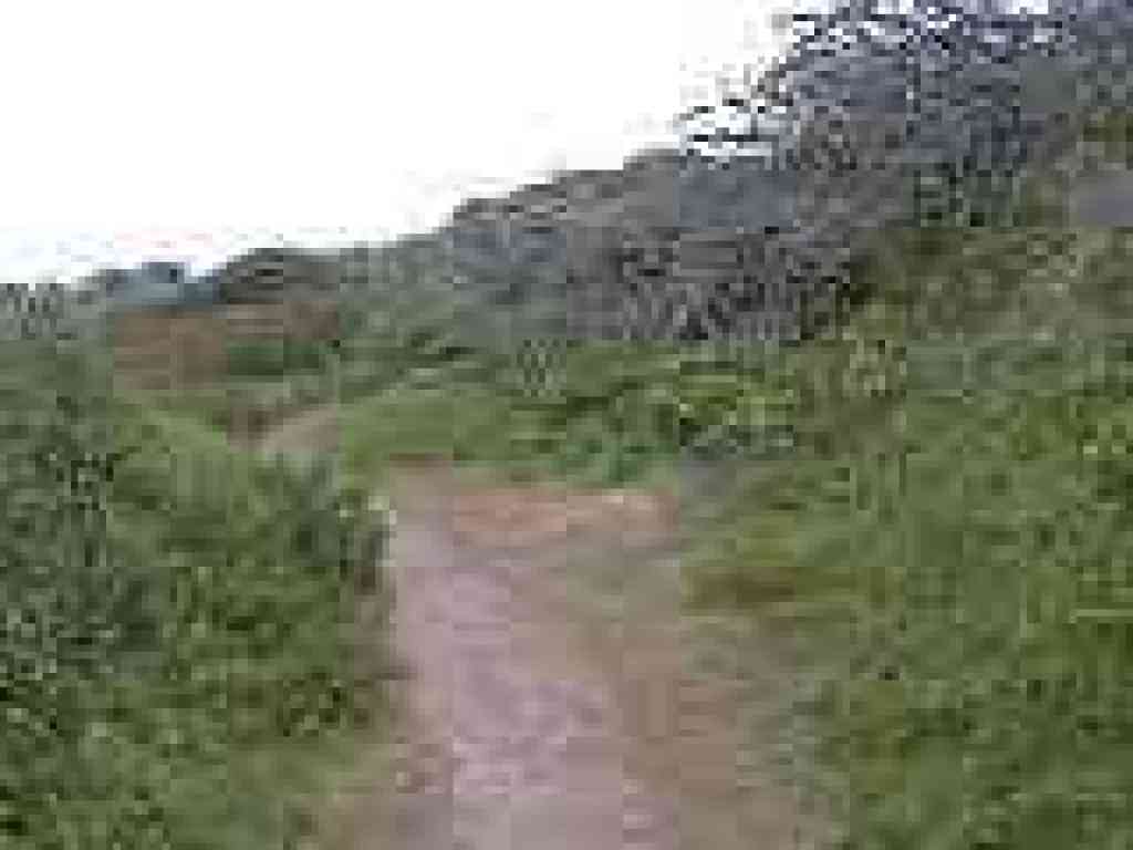 Summit Loop Trail