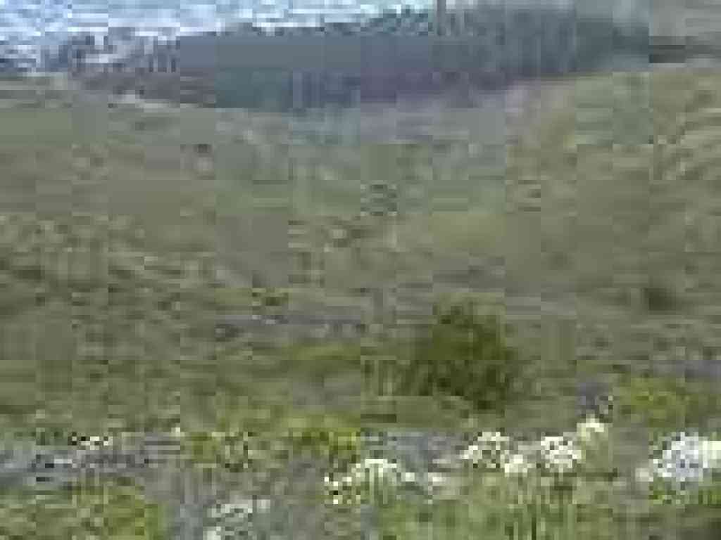 View downhill