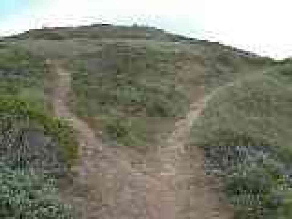Shortcut
