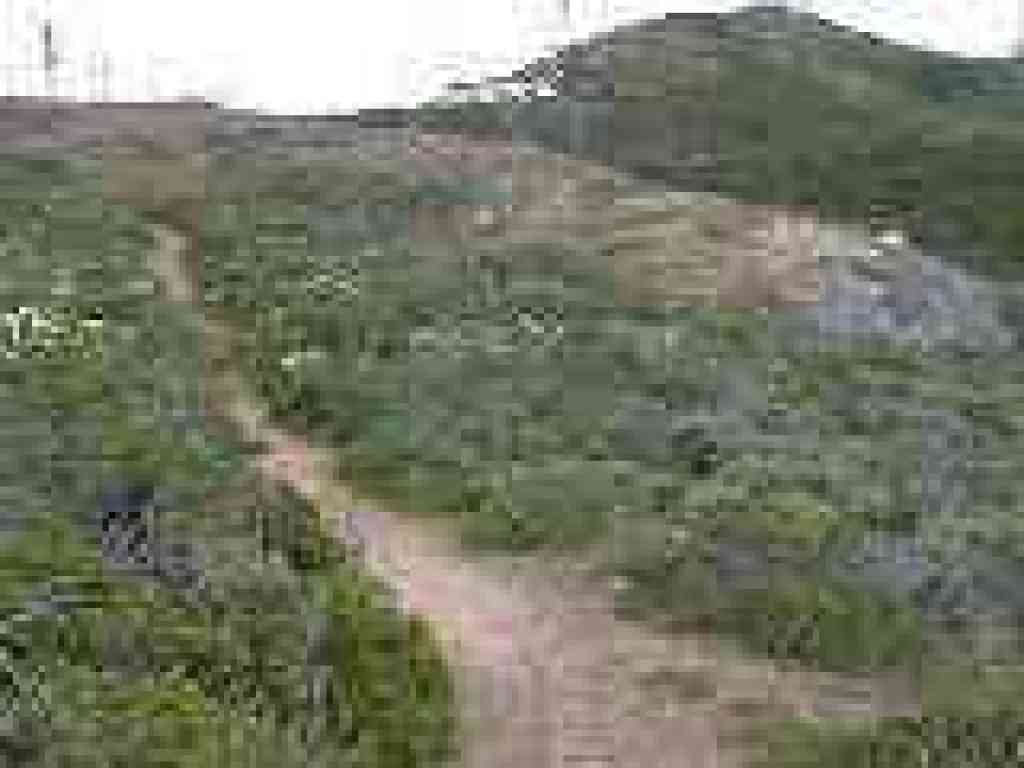 Near the summit