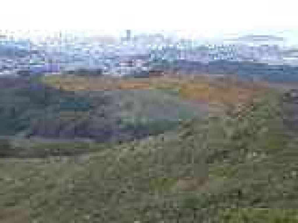 View north