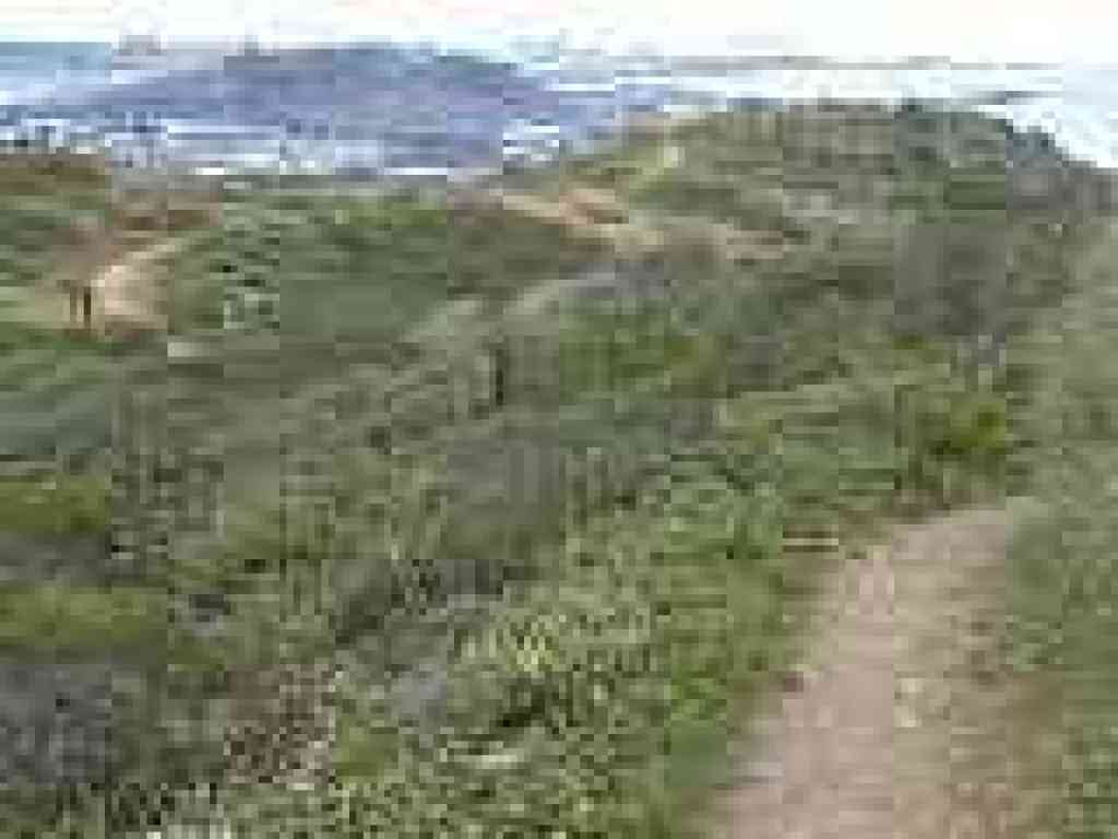 Summit Loop Trail