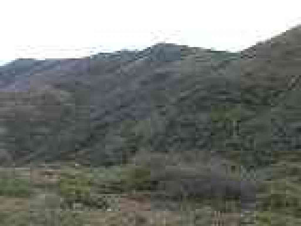 Looking south
