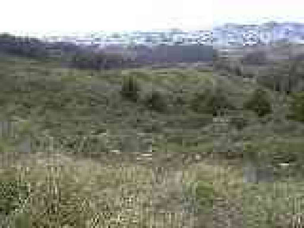 Looking downhill