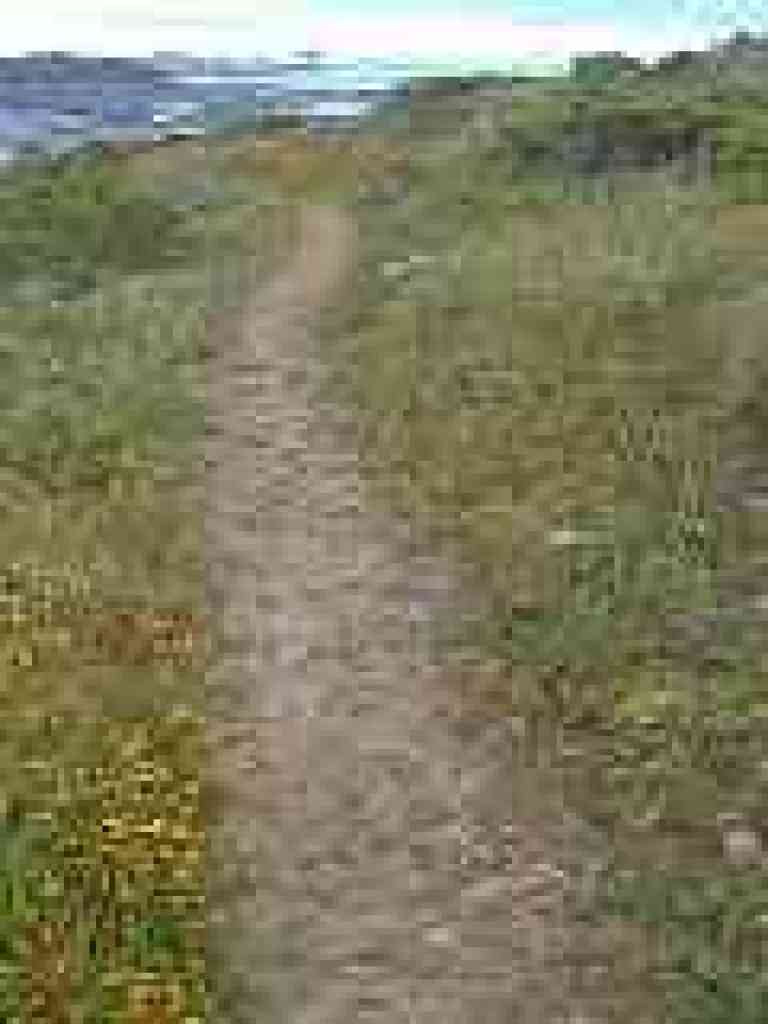 Descending
