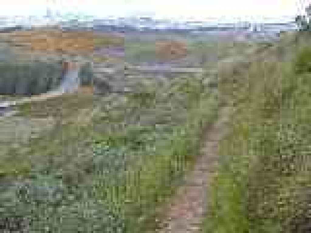 Dairy Ravine Trail