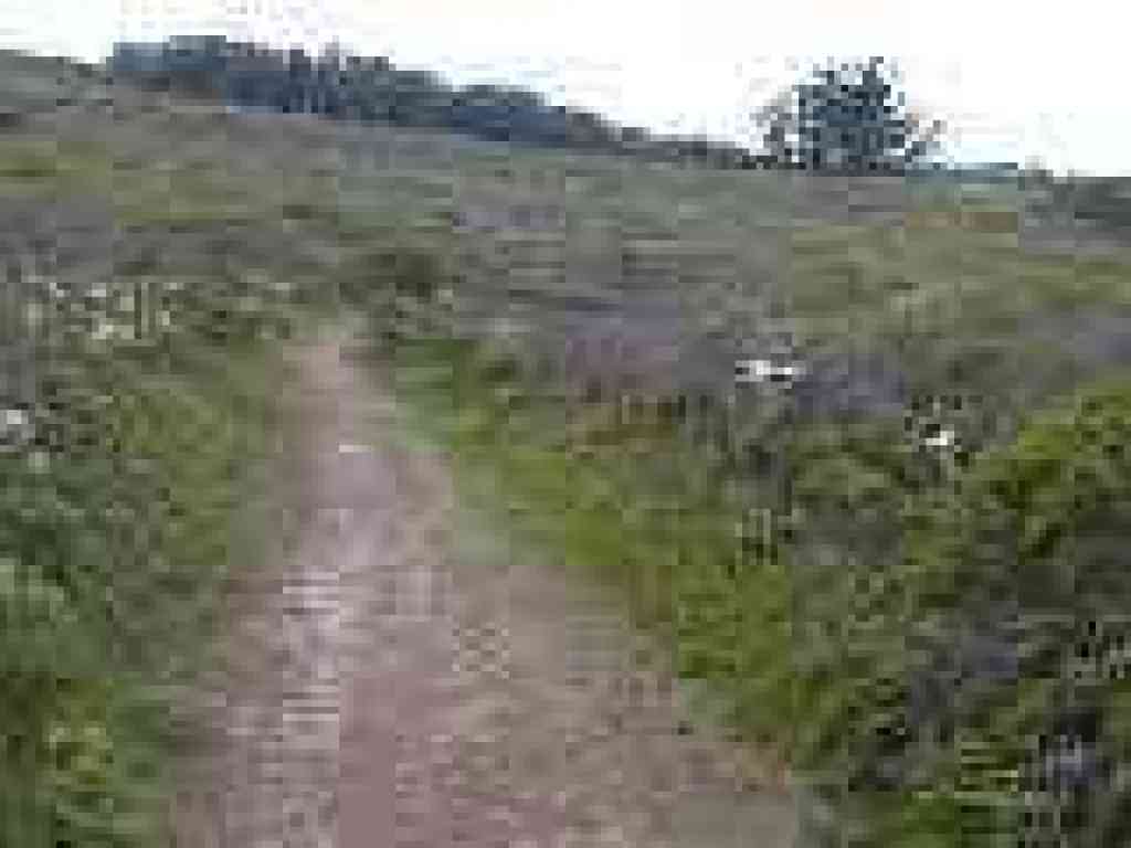 Approaching the trailhead