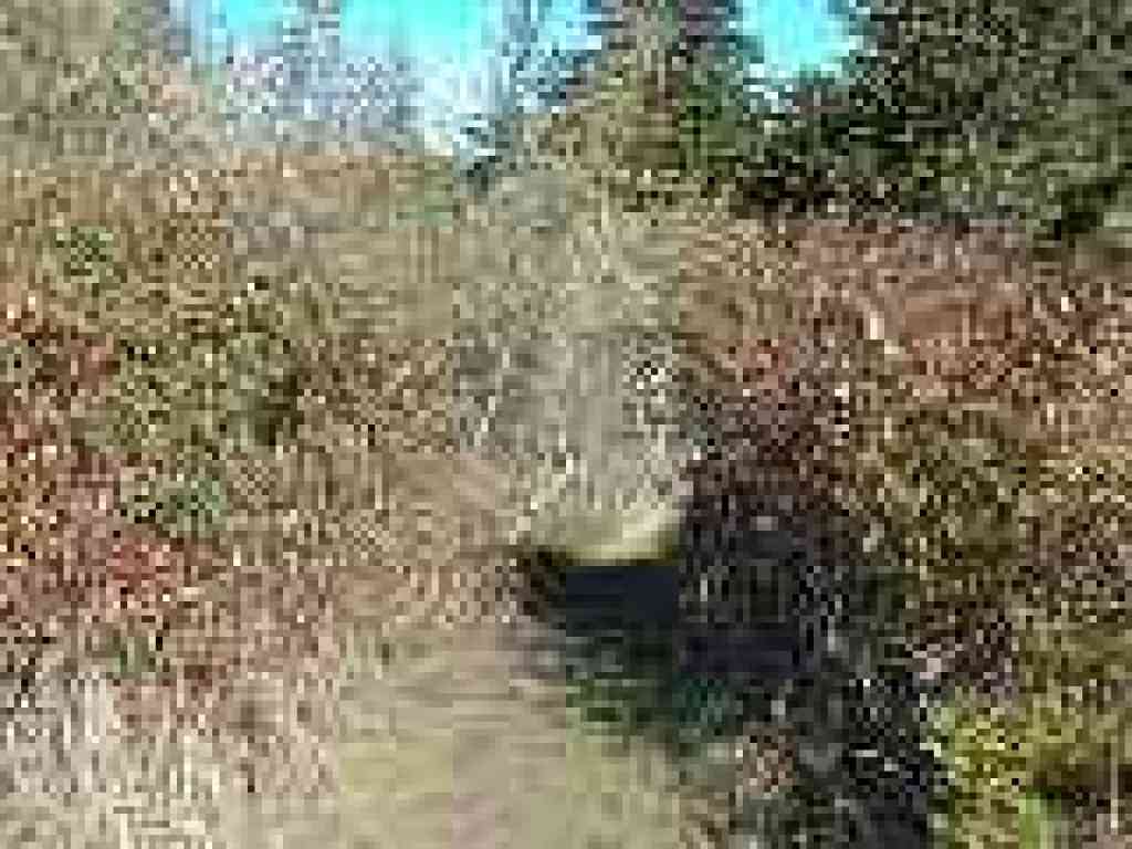 Tunnel-like section