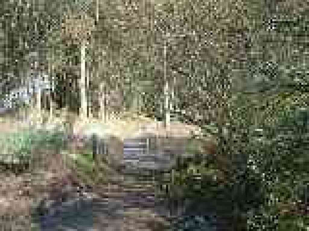 Junction