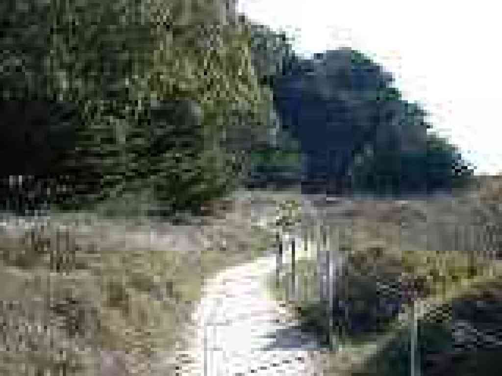 Bog Trail closes the loop