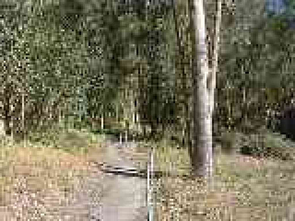 Slight ascent