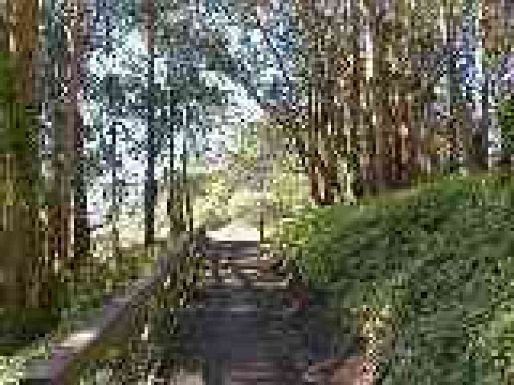 Approaching junction
