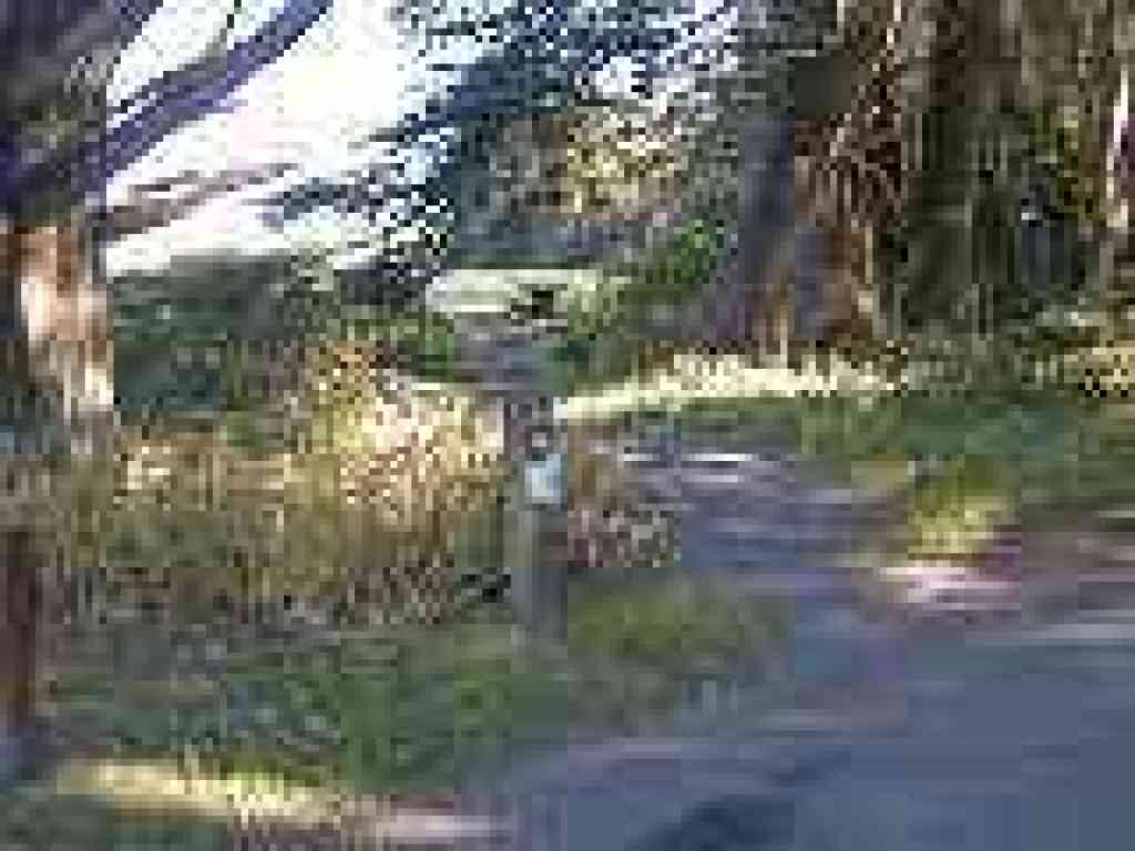 Picnic area