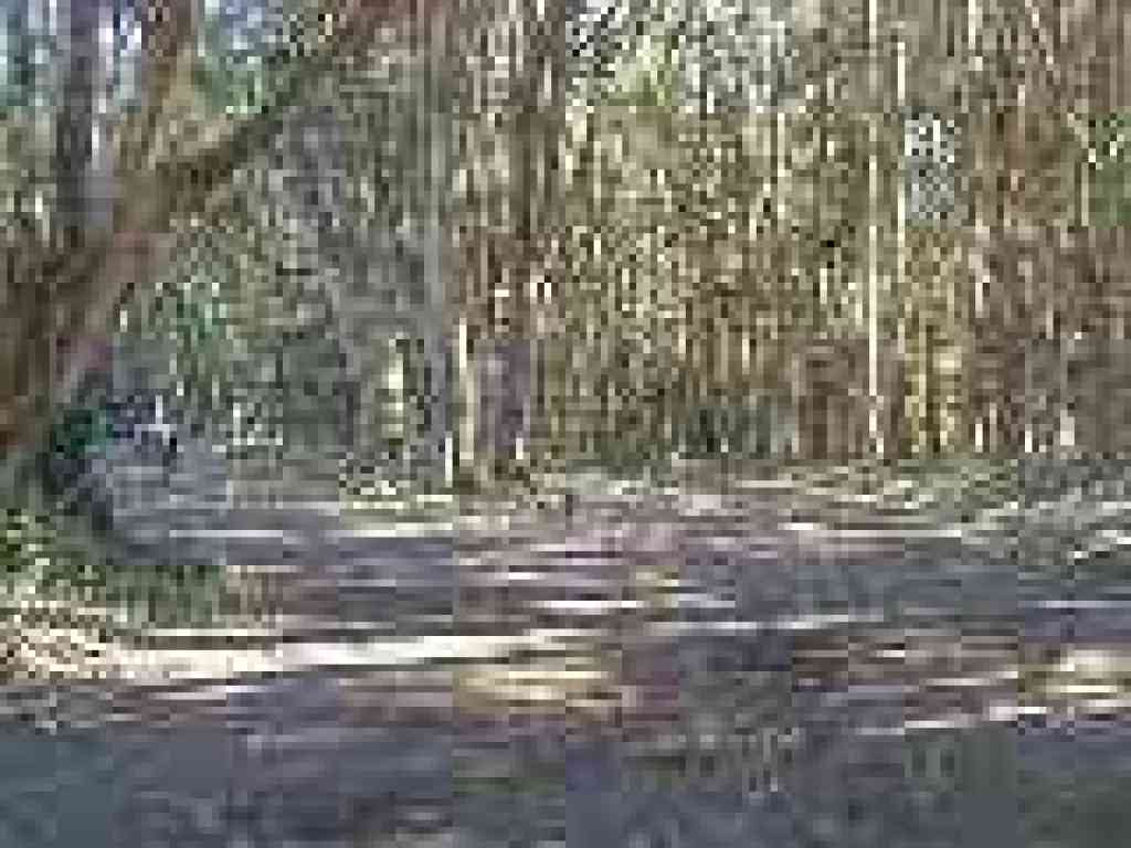 Junction
